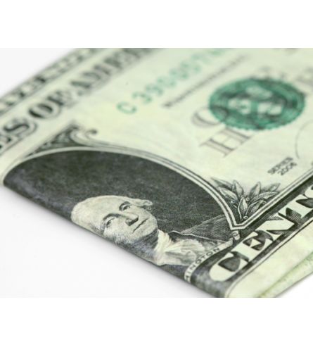 Mighty Wallet Half a Dollar 
