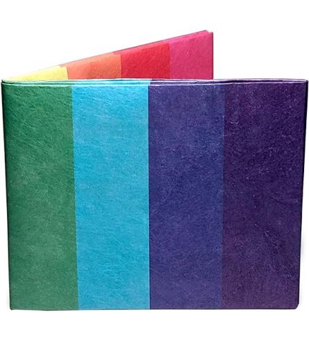 Mighty wallet Pride