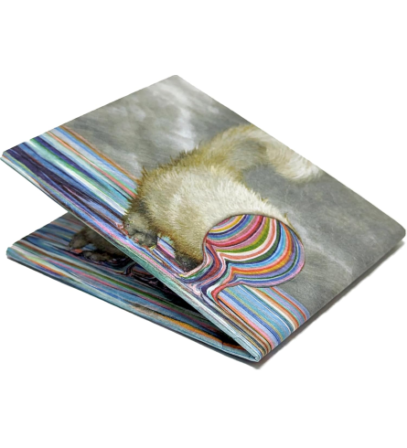 Migthy Wallet Self Pawtrait by Camilla d'Errico