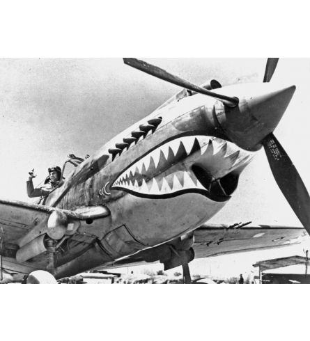 Mighty Wallet Shark Fighter