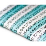 Mighty Wallet Dot Matrix