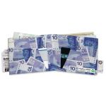 Mighty Wallet Dutch 10 Guilder