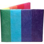 Mighty wallet Pride