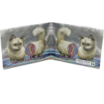 Migthy Wallet Self Pawtrait by Camilla d'Errico