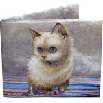 Migthy Wallet Self Pawtrait by Camilla d'Errico