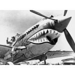 Mighty Wallet Shark Fighter